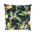 Vecindario 18 in. Lemon Design Outdoor Square Throw Pillow with Poly Filling, Black VE3195351